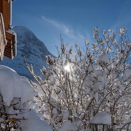 Chalet Alia And Apartments-Grindelwald By Swiss Hotel Apartments Zewnętrze zdjęcie