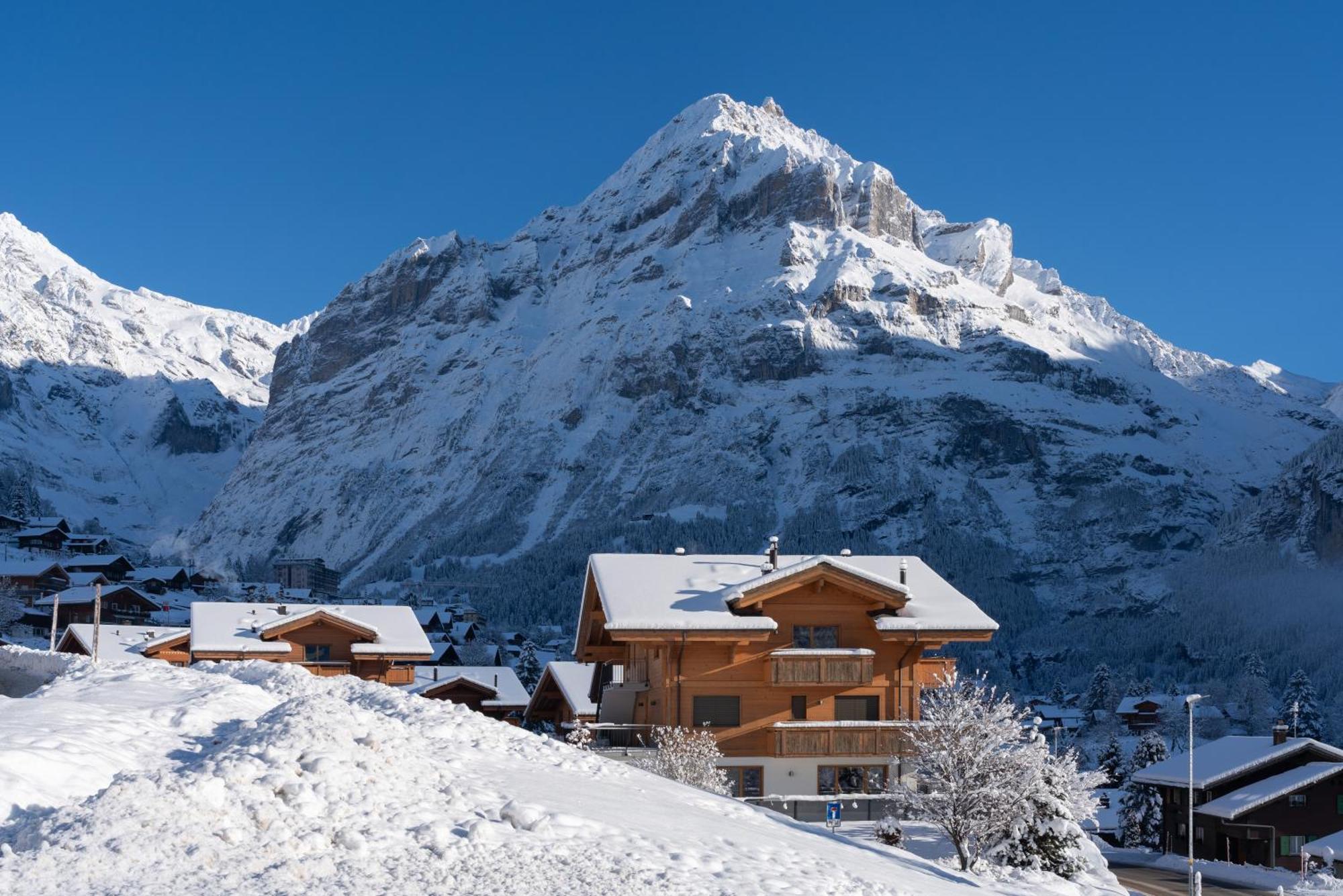 Chalet Alia And Apartments-Grindelwald By Swiss Hotel Apartments Zewnętrze zdjęcie