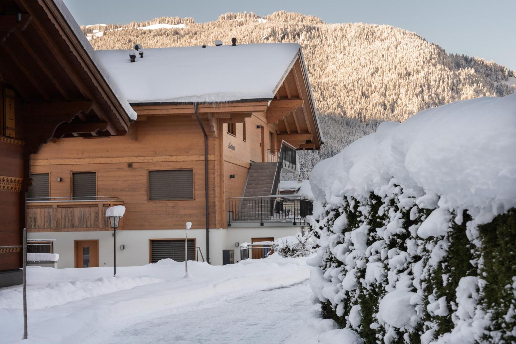 Chalet Alia And Apartments-Grindelwald By Swiss Hotel Apartments Zewnętrze zdjęcie