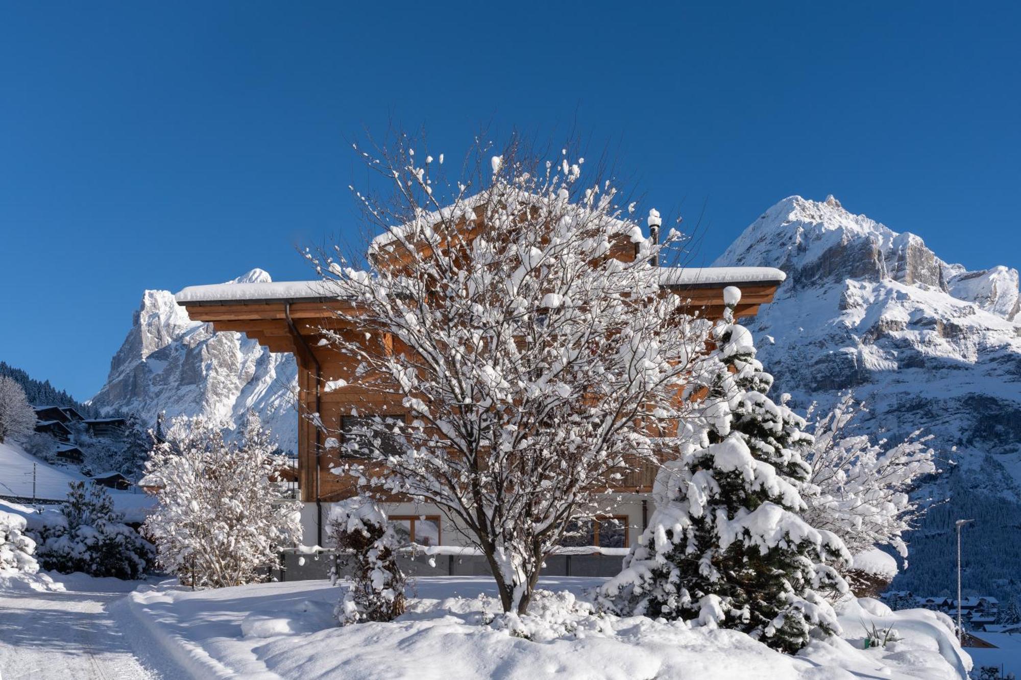 Chalet Alia And Apartments-Grindelwald By Swiss Hotel Apartments Zewnętrze zdjęcie